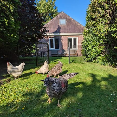 Boutique B&B Villa Van Voss Etten-Leur Kültér fotó