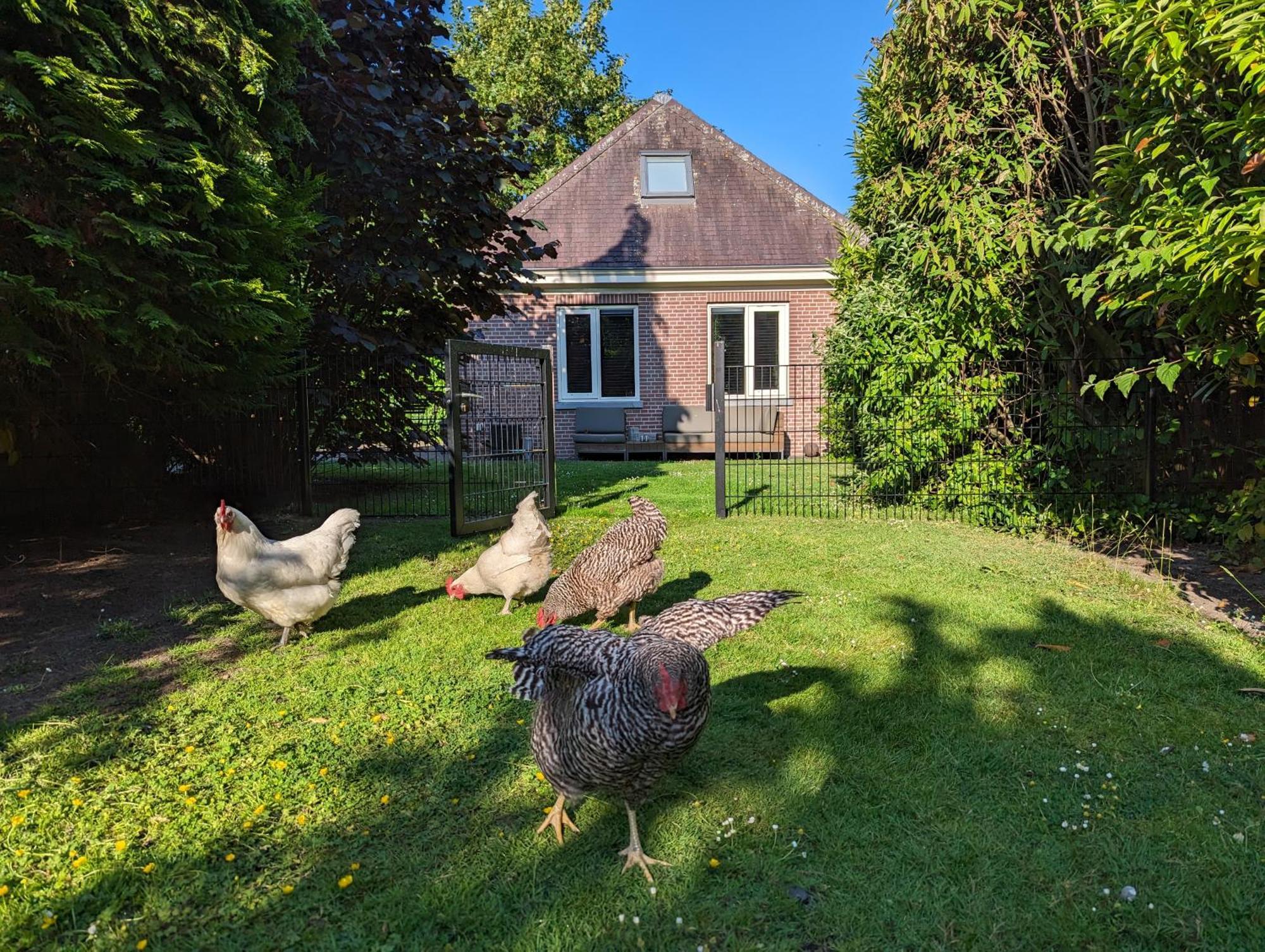Boutique B&B Villa Van Voss Etten-Leur Kültér fotó